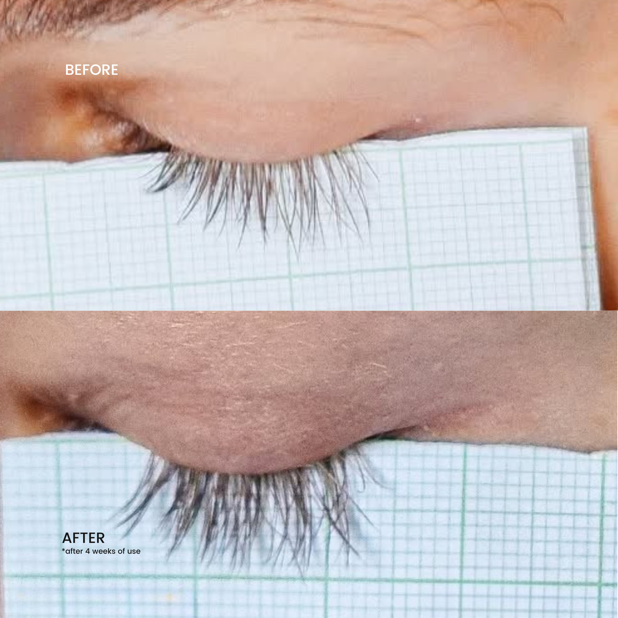 Brow & Lash Serum - New formula